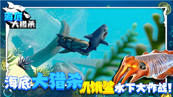 奥比岛游戏手机版：如何在奥比岛游戏手机版中打造属于自己的梦幻小岛？