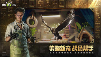 最远的边陲市场怎么自动补货 补货技巧分享！