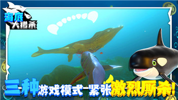 10款适合情侣共同游玩的Steam游戏推荐，甜蜜互动尽在其中！